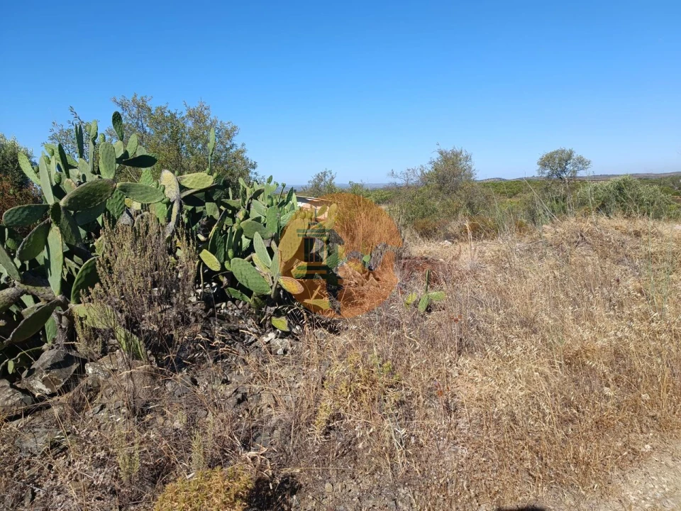 Terreno para Venda em Alcoutim e Pereiro Foto 14