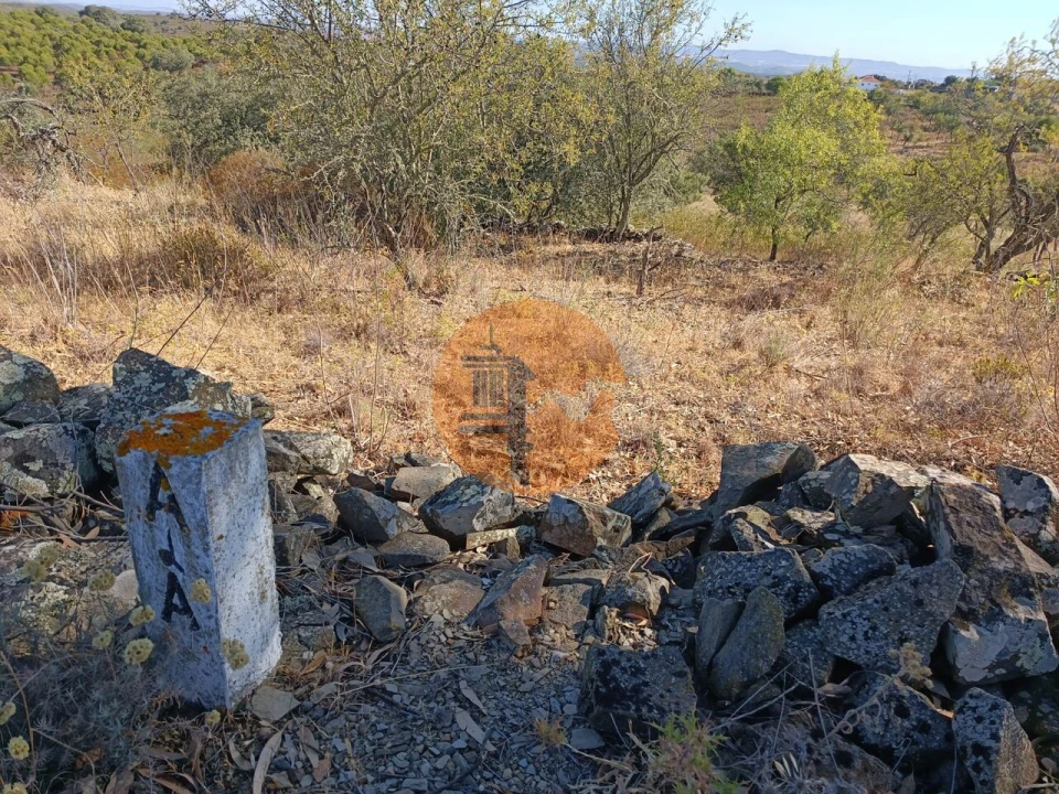 Terreno para Venda em Alcoutim e Pereiro Foto 15