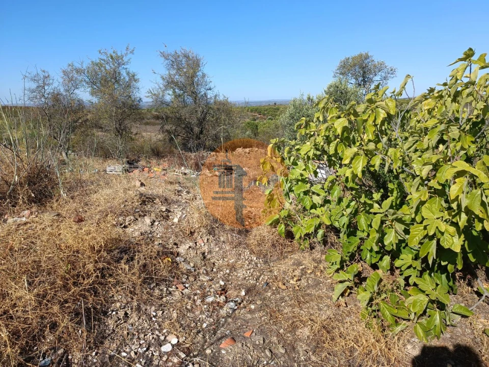 Terreno para Venda em Alcoutim e Pereiro Foto 16