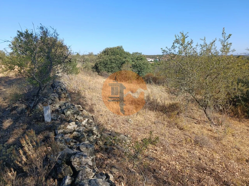 Terreno para Venda em Alcoutim e Pereiro Foto 17