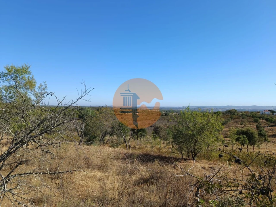 Terreno para Venda em Alcoutim e Pereiro Foto 18