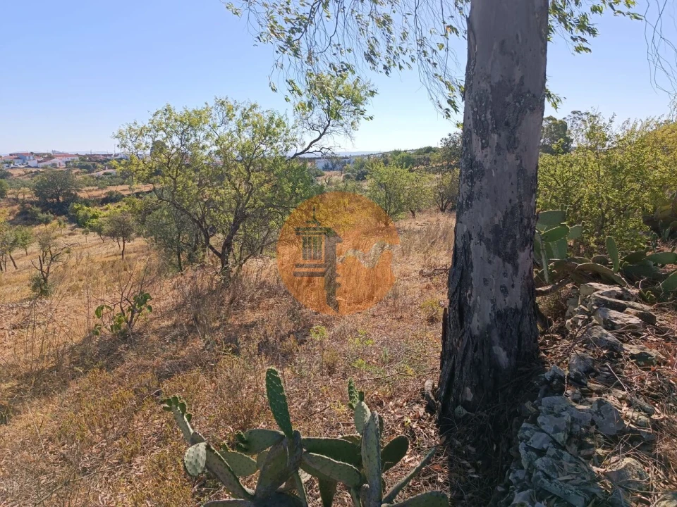 Terreno para Venda em Alcoutim e Pereiro Foto 21