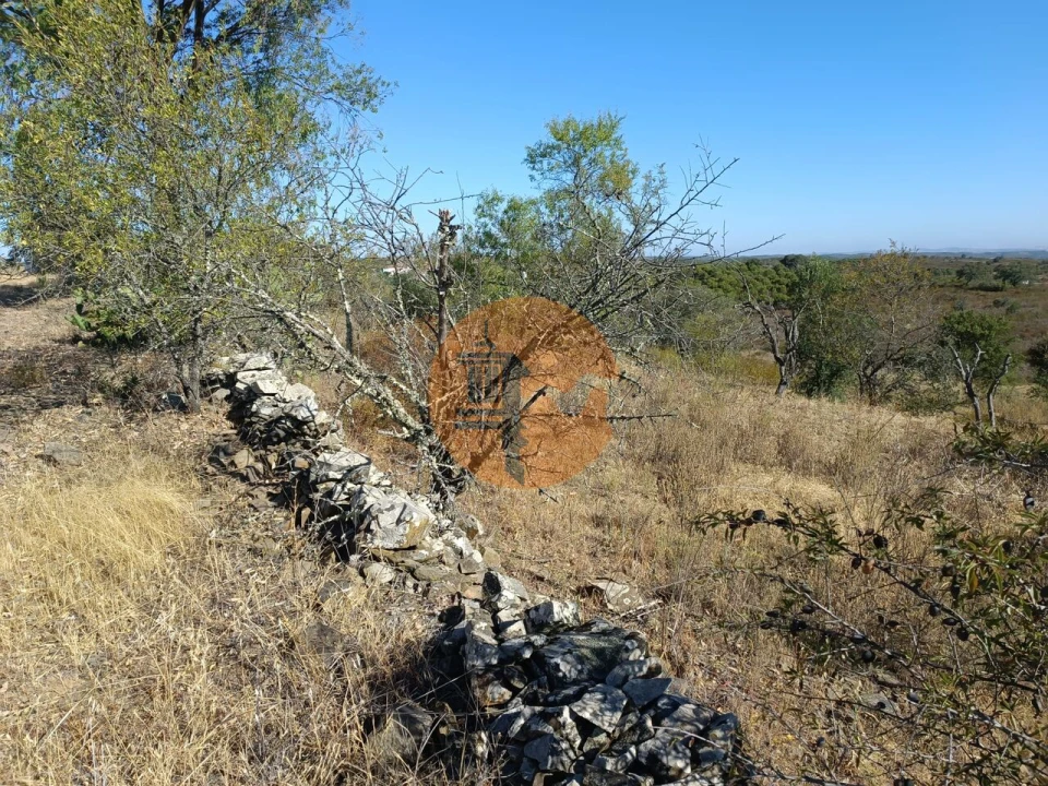 Terreno para Venda em Alcoutim e Pereiro Foto 22