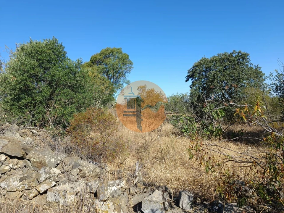 Terreno para Venda em Alcoutim e Pereiro Foto 23