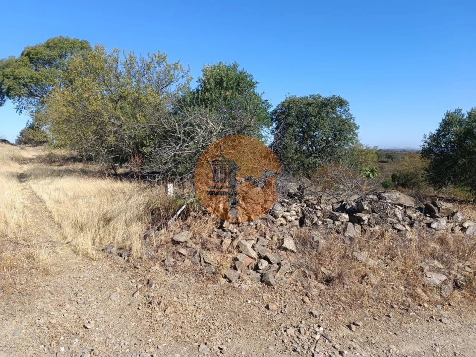 Terreno para Venda em Alcoutim e Pereiro Foto 26