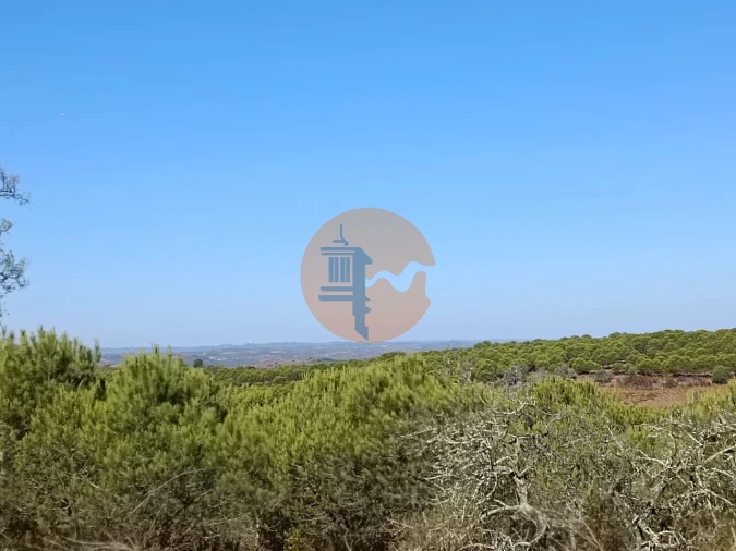 Terreno para Venda em Alcoutim e Pereiro Foto 6