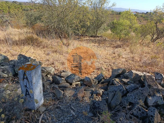 Terreno para Venda em Alcoutim e Pereiro Foto 15