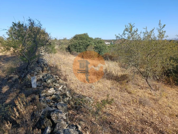 Terreno para Venda em Alcoutim e Pereiro Foto 17