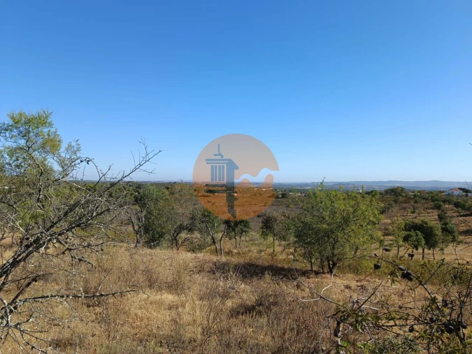 Terreno para Venda em Alcoutim e Pereiro Foto 18