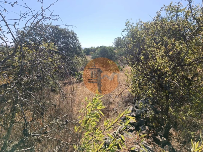 Terreno para Venda em Alcoutim e Pereiro Foto 20