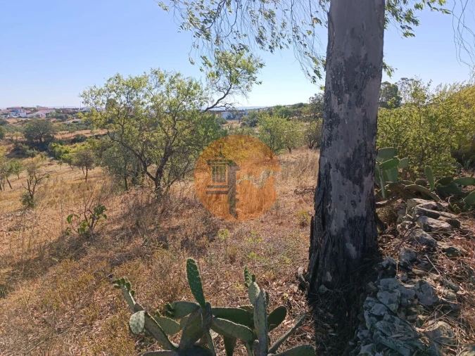 Terreno para Venda em Alcoutim e Pereiro Foto 21