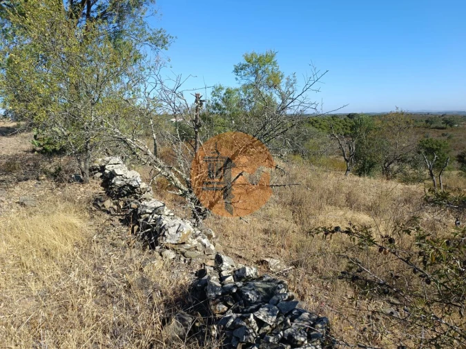 Terreno para Venda em Alcoutim e Pereiro Foto 22