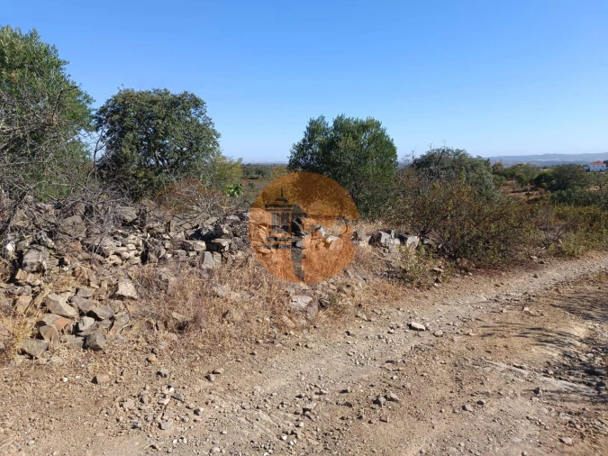 Terreno para Venda em Alcoutim e Pereiro Foto 25