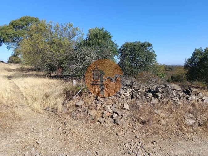 Terreno para Venda em Alcoutim e Pereiro Foto 26