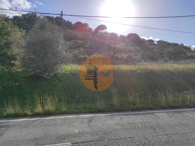 Terreno para Venda em Alcoutim e Pereiro Foto 29