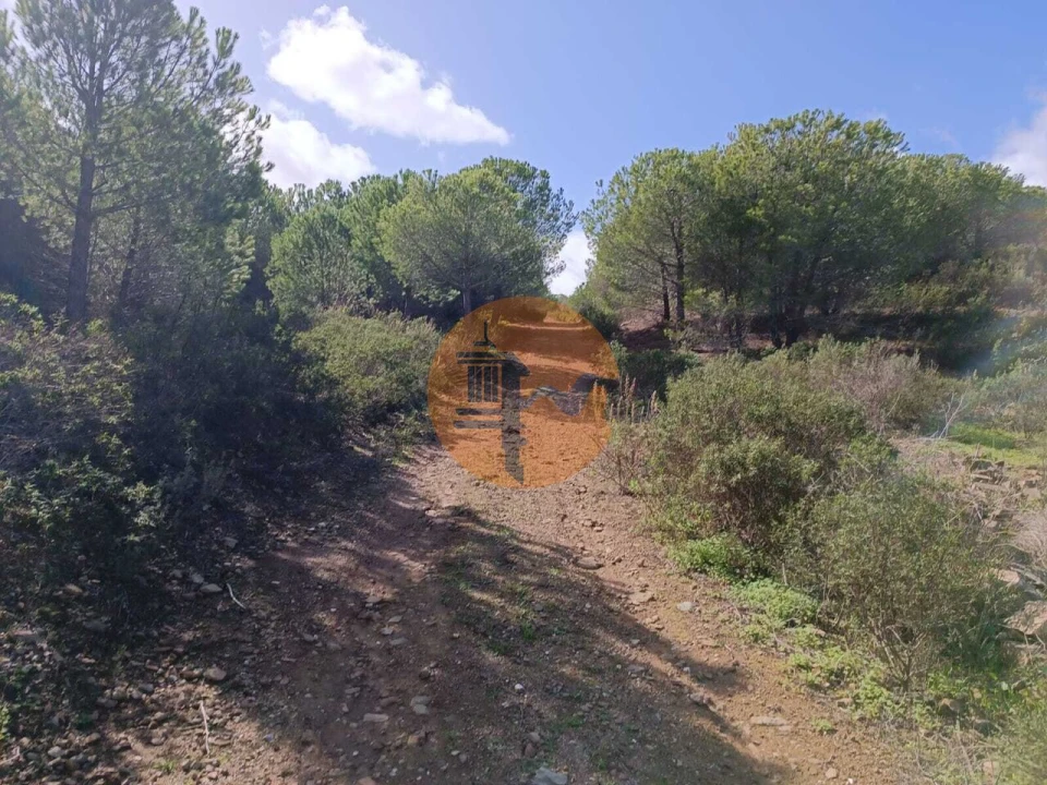 Terreno para Venda em Alcoutim e Pereiro Foto 2