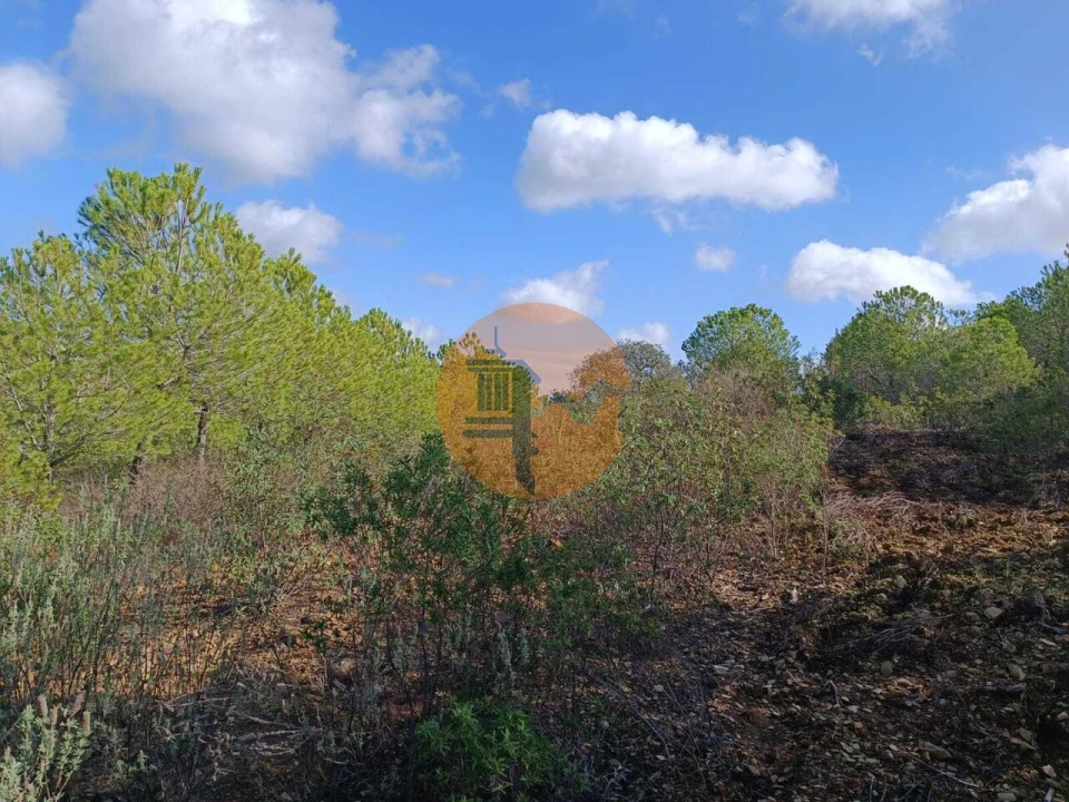 Terreno para Venda em Alcoutim e Pereiro Foto 4