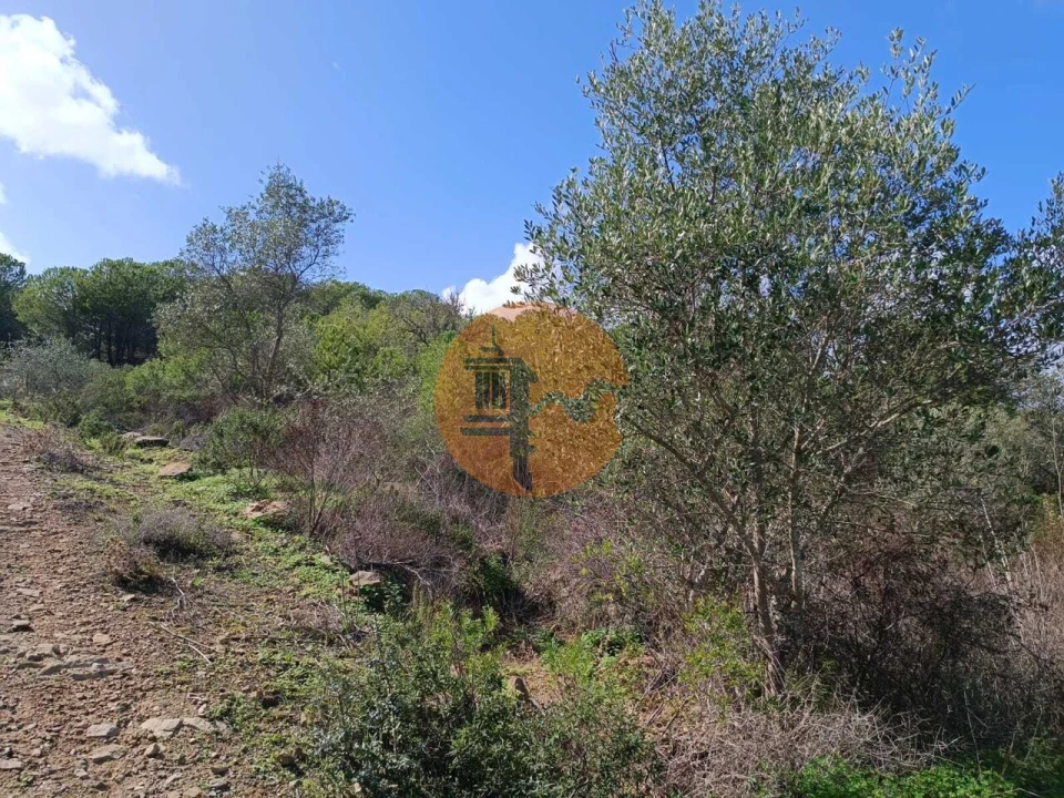 Terreno para Venda em Alcoutim e Pereiro Foto 5