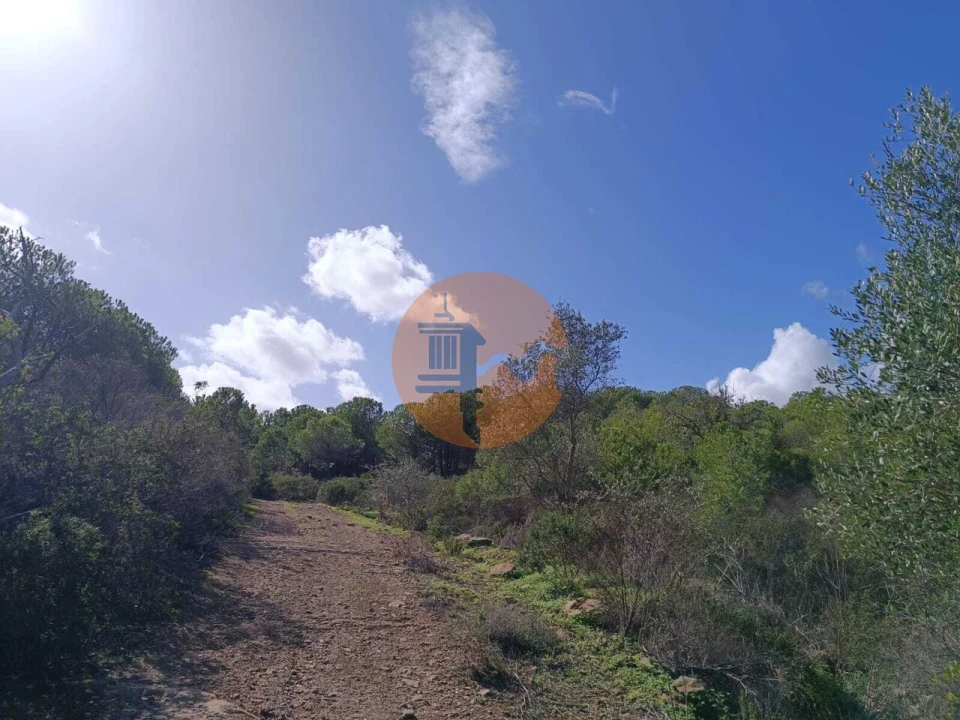 Terreno para Venda em Alcoutim e Pereiro Foto 6