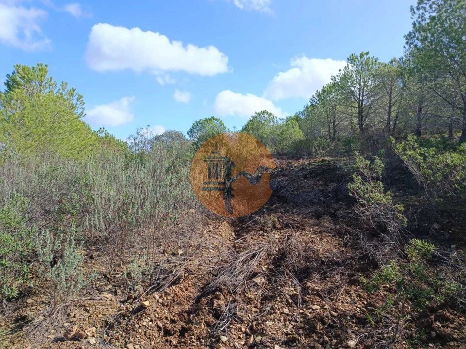 Terreno para Venda em Alcoutim e Pereiro Foto 12