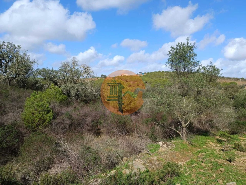 Terreno para Venda em Alcoutim e Pereiro Foto 13