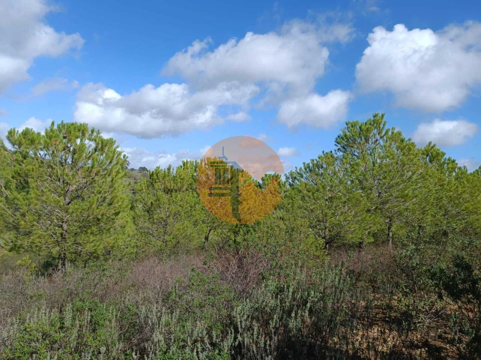 Terreno para Venda em Alcoutim e Pereiro Foto 19