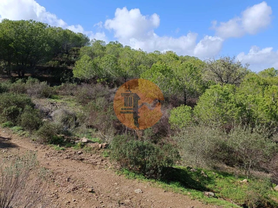 Terreno para Venda em Alcoutim e Pereiro Foto 21