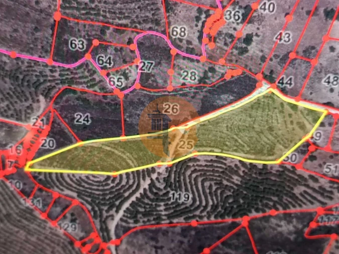 Terreno para Venda em Alcoutim e Pereiro Foto 3