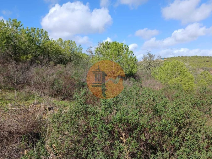 Terreno para Venda em Alcoutim e Pereiro Foto 9