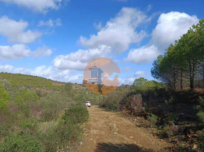 Terreno para Venda em Alcoutim e Pereiro Foto 10