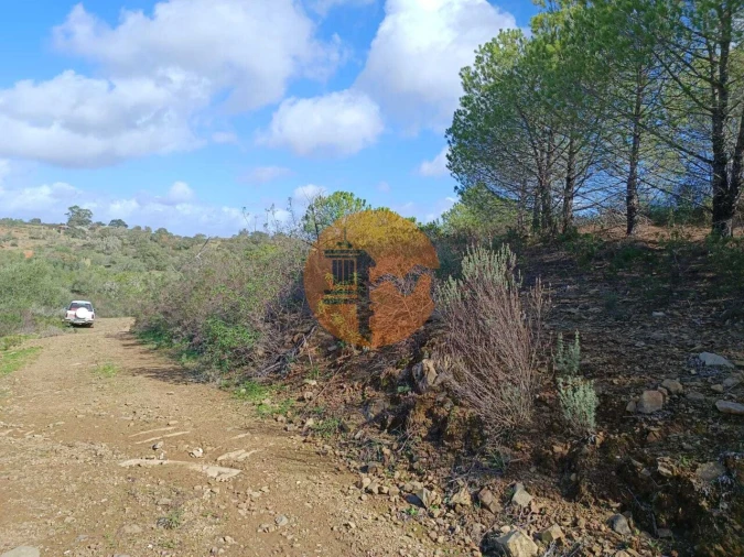 Terreno para Venda em Alcoutim e Pereiro Foto 11