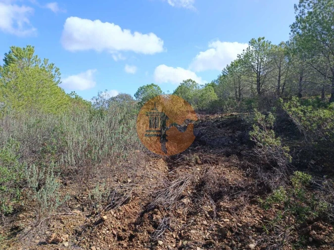Terreno para Venda em Alcoutim e Pereiro Foto 12