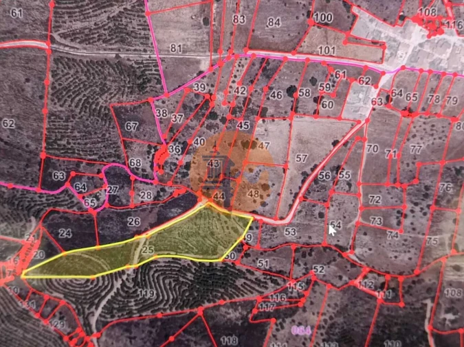 Terreno para Venda em Alcoutim e Pereiro Foto 14