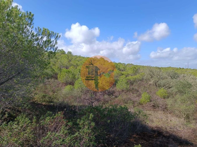 Terreno para Venda em Alcoutim e Pereiro Foto 15