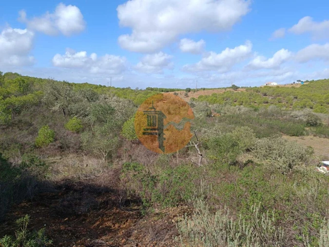 Terreno para Venda em Alcoutim e Pereiro Foto 16