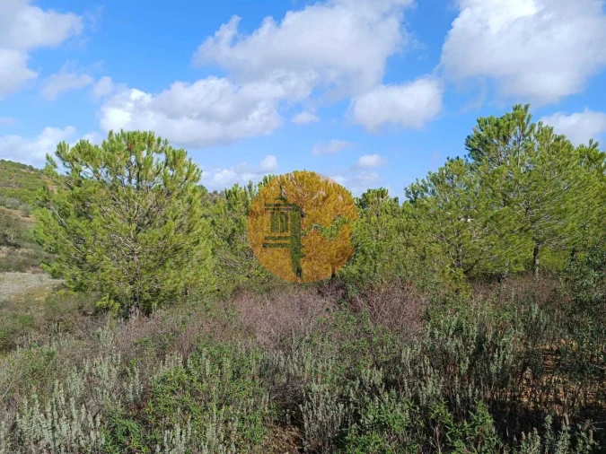 Terreno para Venda em Alcoutim e Pereiro Foto 17