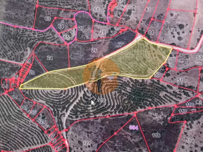 Terreno para Venda em Alcoutim e Pereiro Foto 18