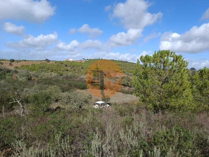 Terreno para Venda em Alcoutim e Pereiro Foto 22