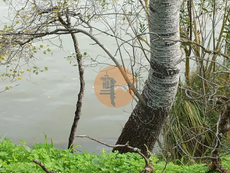 Terreno para Venda em Alcoutim e Pereiro Foto 1