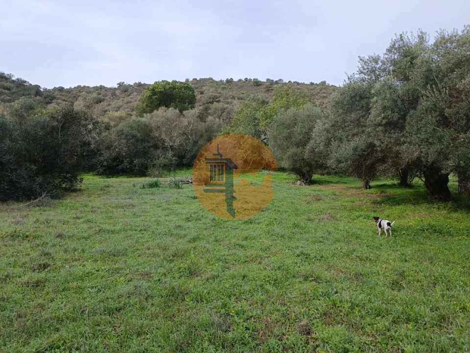 Terreno para Venda em Alcoutim e Pereiro Foto 7