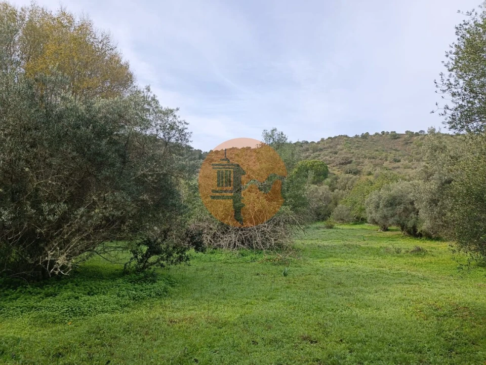 Terreno para Venda em Alcoutim e Pereiro Foto 8