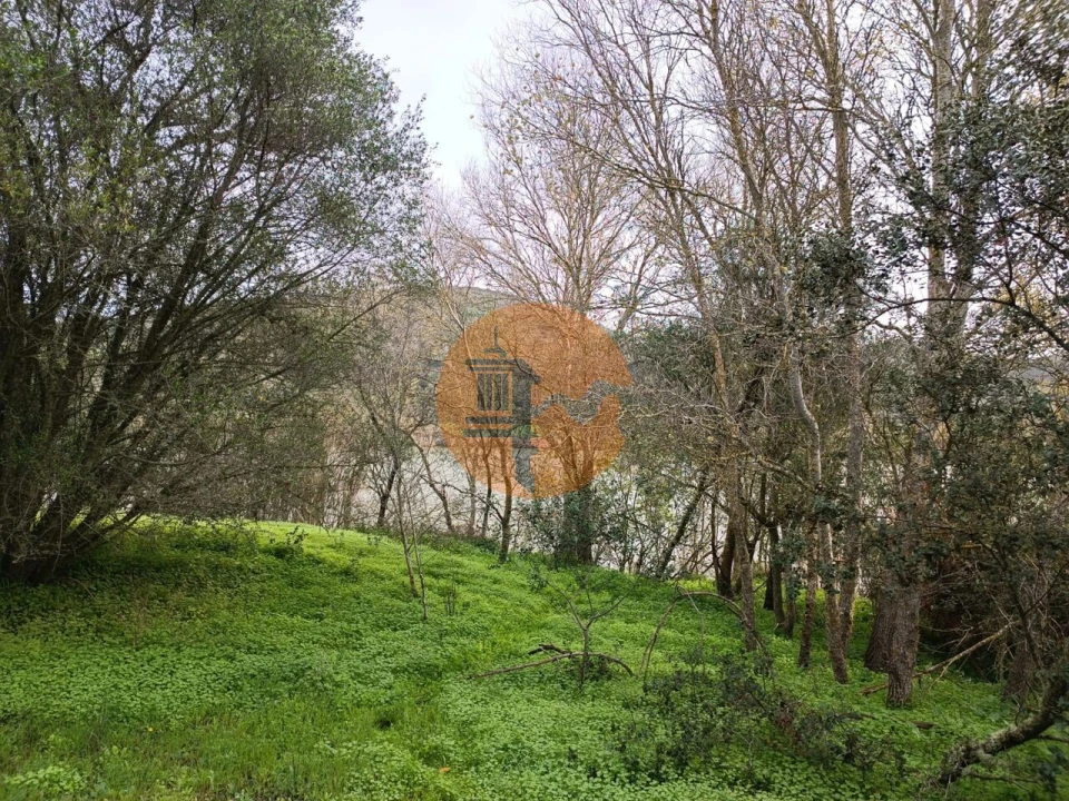 Terreno para Venda em Alcoutim e Pereiro Foto 15
