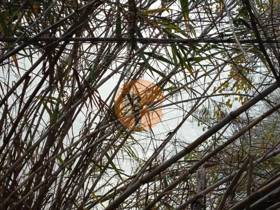 Terreno para Venda em Alcoutim e Pereiro Foto 18