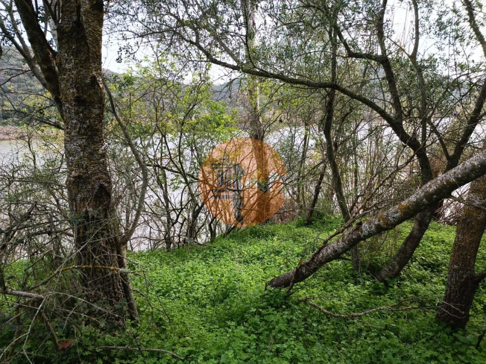 Terreno para Venda em Alcoutim e Pereiro Foto 21