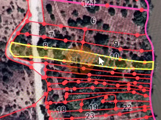 Terreno para Venda em Alcoutim e Pereiro Foto 2