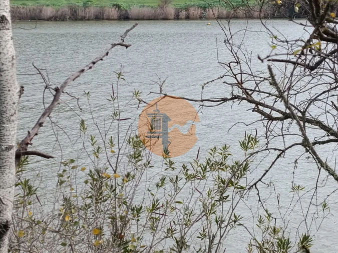 Terreno para Venda em Alcoutim e Pereiro Foto 3