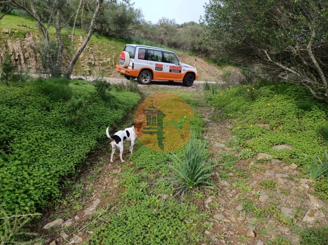 Terreno para Venda em Alcoutim e Pereiro Foto 6