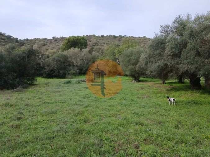Terreno para Venda em Alcoutim e Pereiro Foto 7