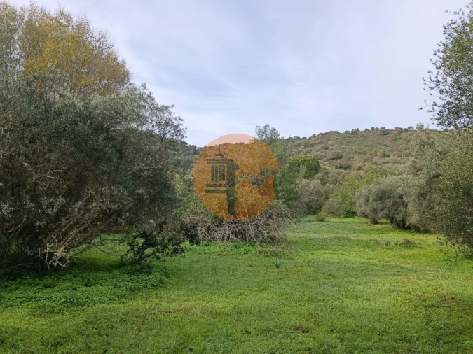 Terreno para Venda em Alcoutim e Pereiro Foto 8