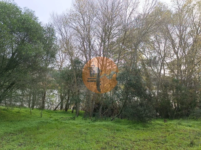 Terreno para Venda em Alcoutim e Pereiro Foto 13